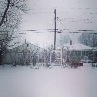 Snow yard