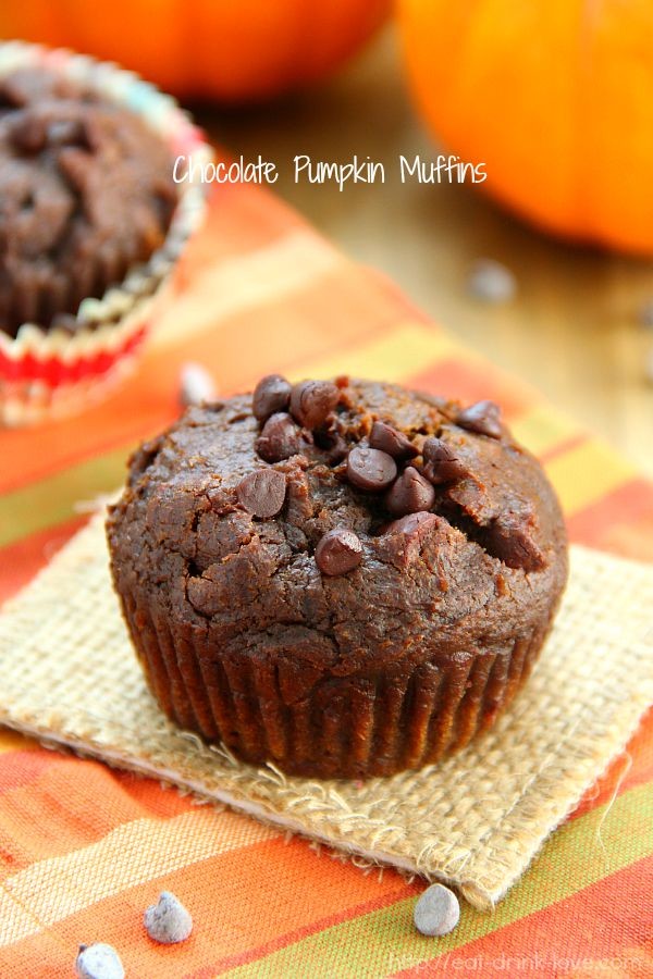 Chocolate  Pumpkin Muffins