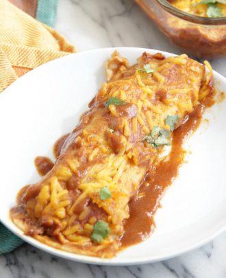 Vegetable Enchiladas