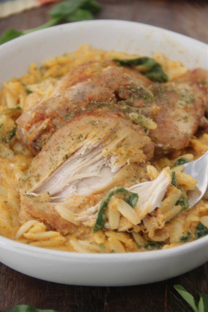 Close up photo of a bowl of pasta with pumpkin puree, spinach, and chicken thighs on top